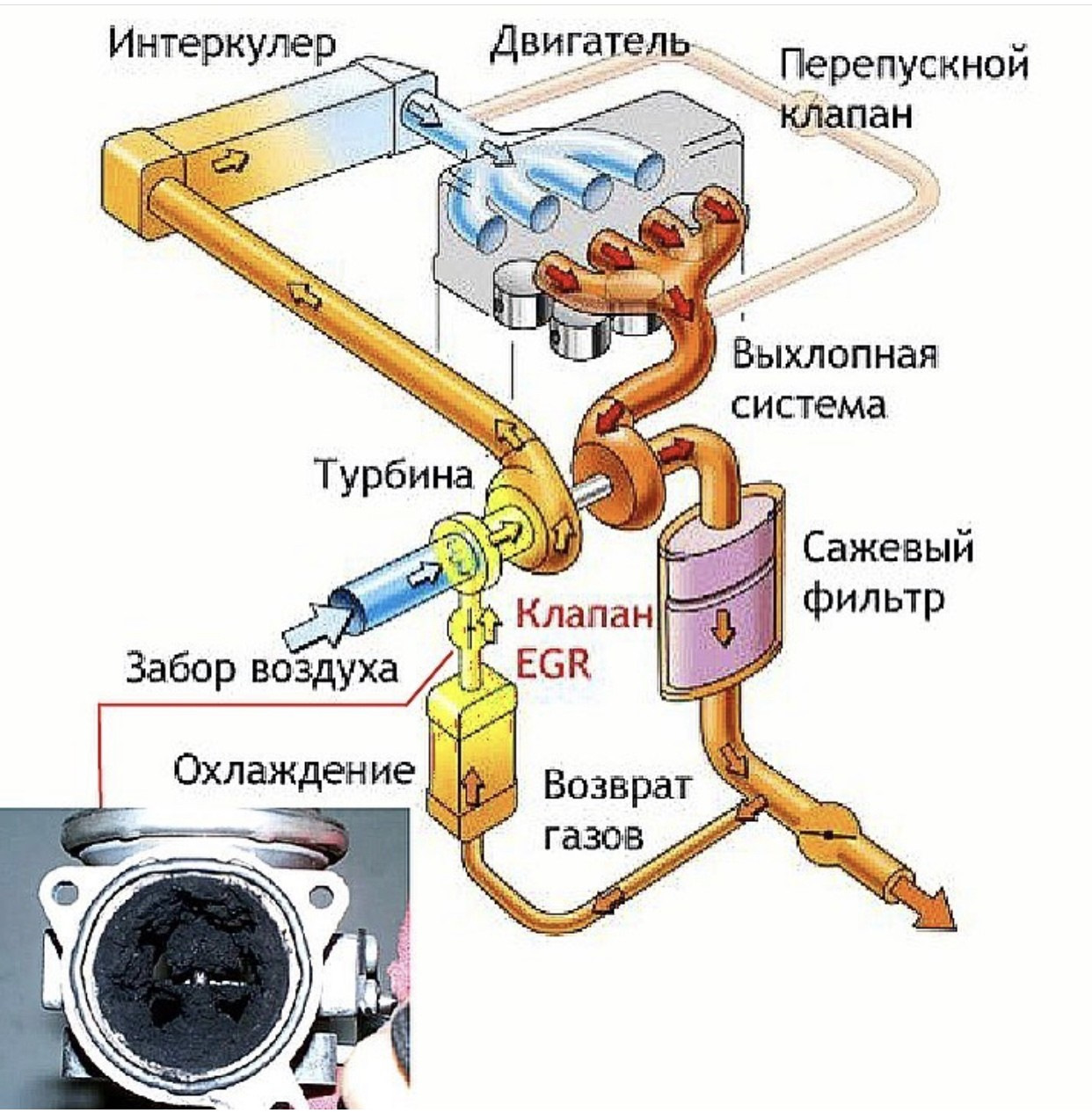 Отключение и удаление егр (egr): последствия, причины, плюсы и минусы
