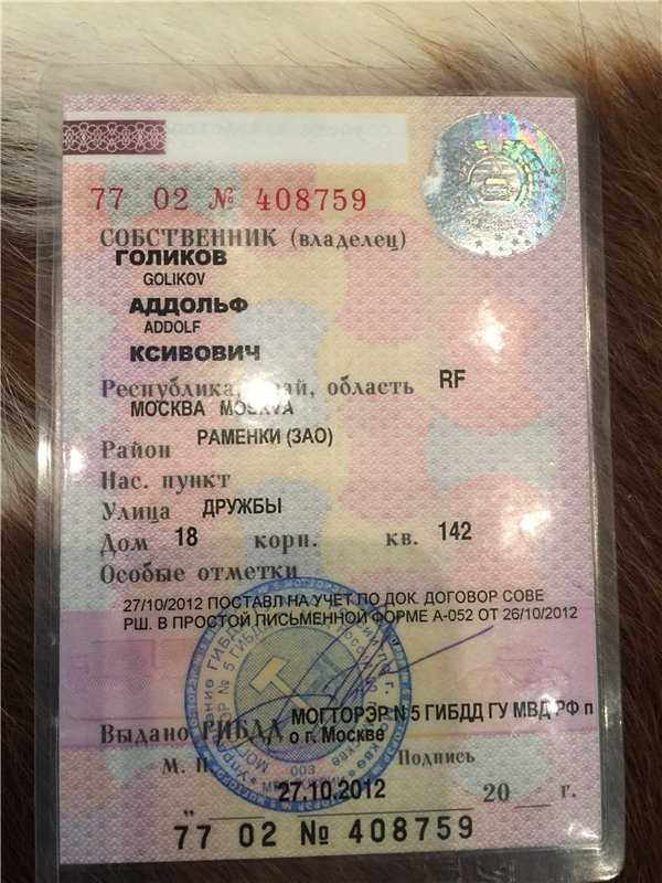 Потерял стс на машину — как восстановить в 2024 году?