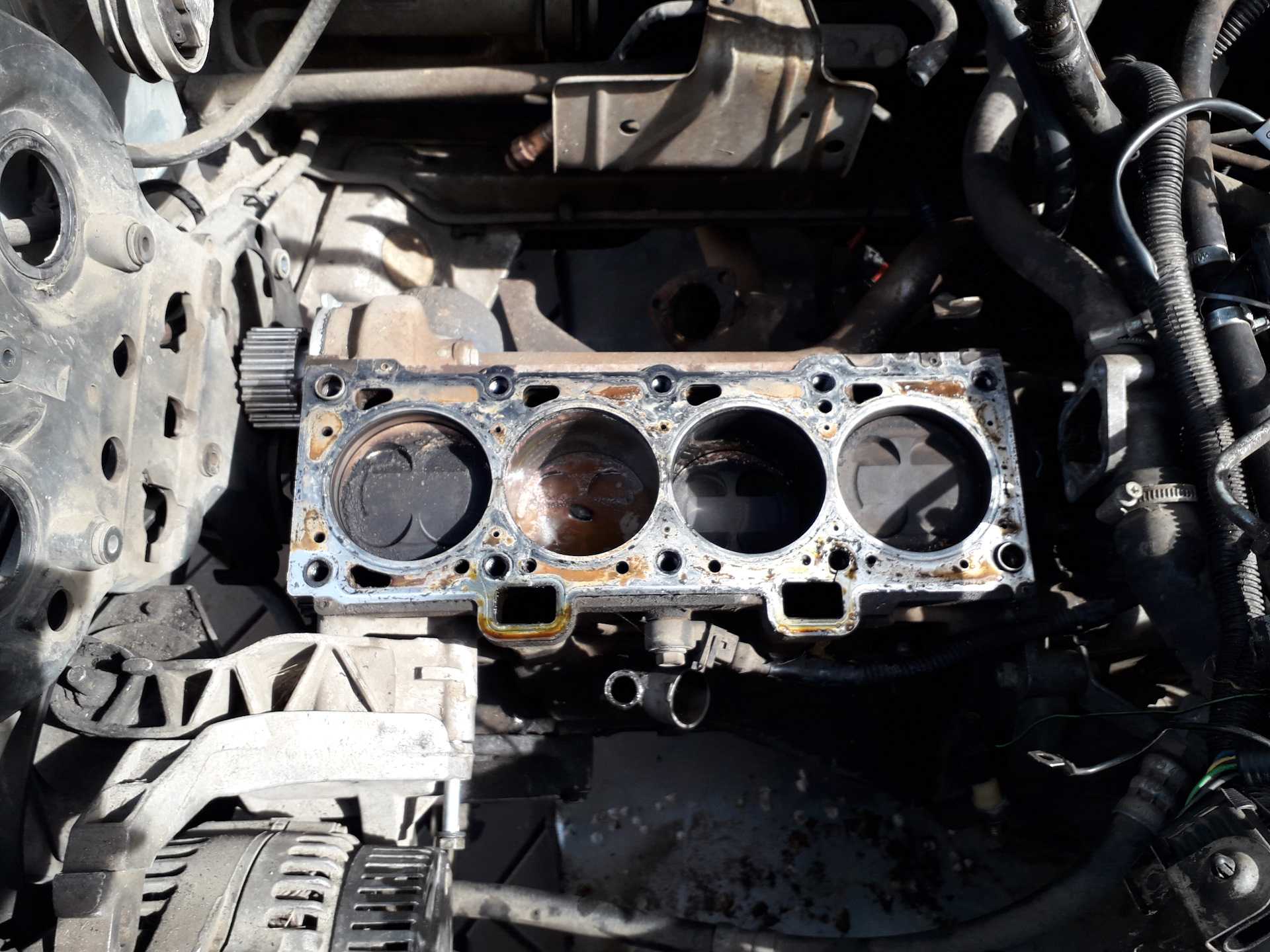 Замена прокладки головки цилиндров ford focus