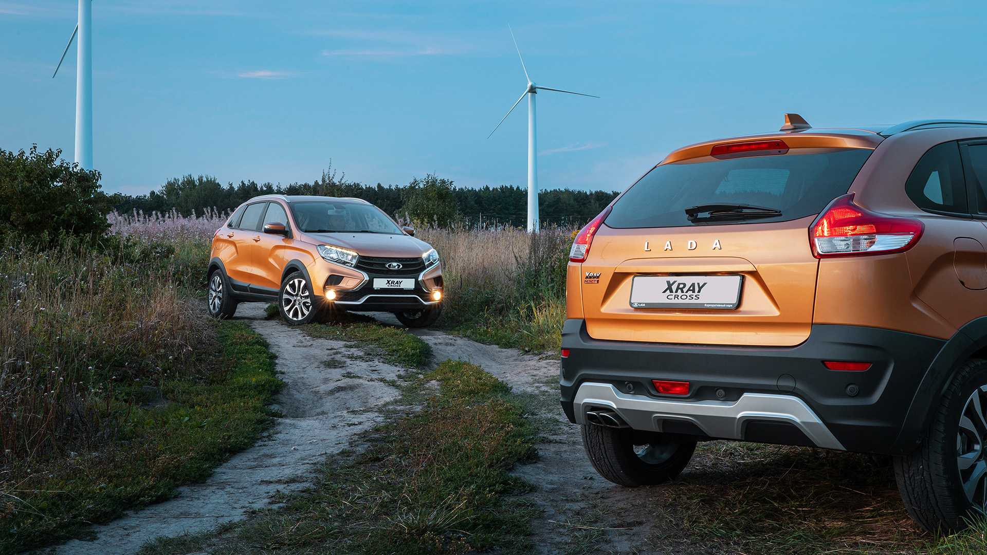 Lada xray - рентгеновский луч надежды