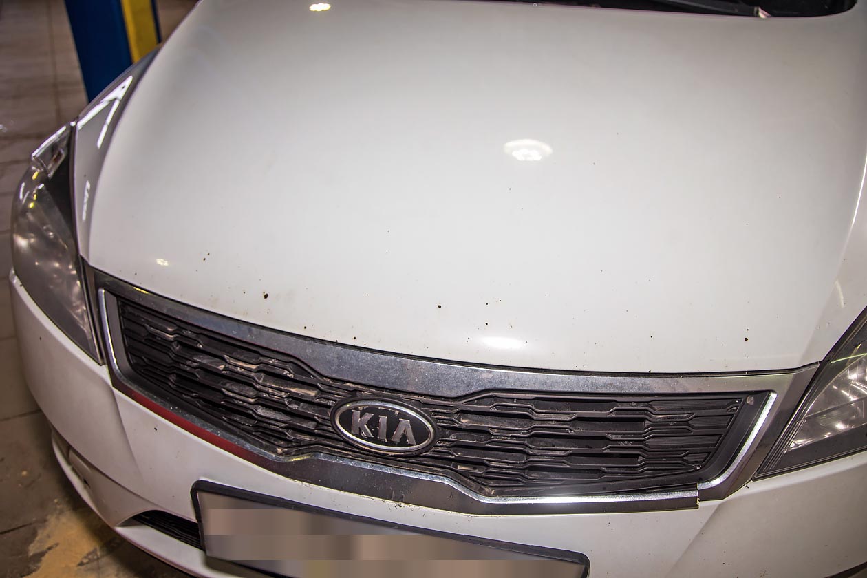Wylsadrive: жёсткая езда на kia proceed gt
