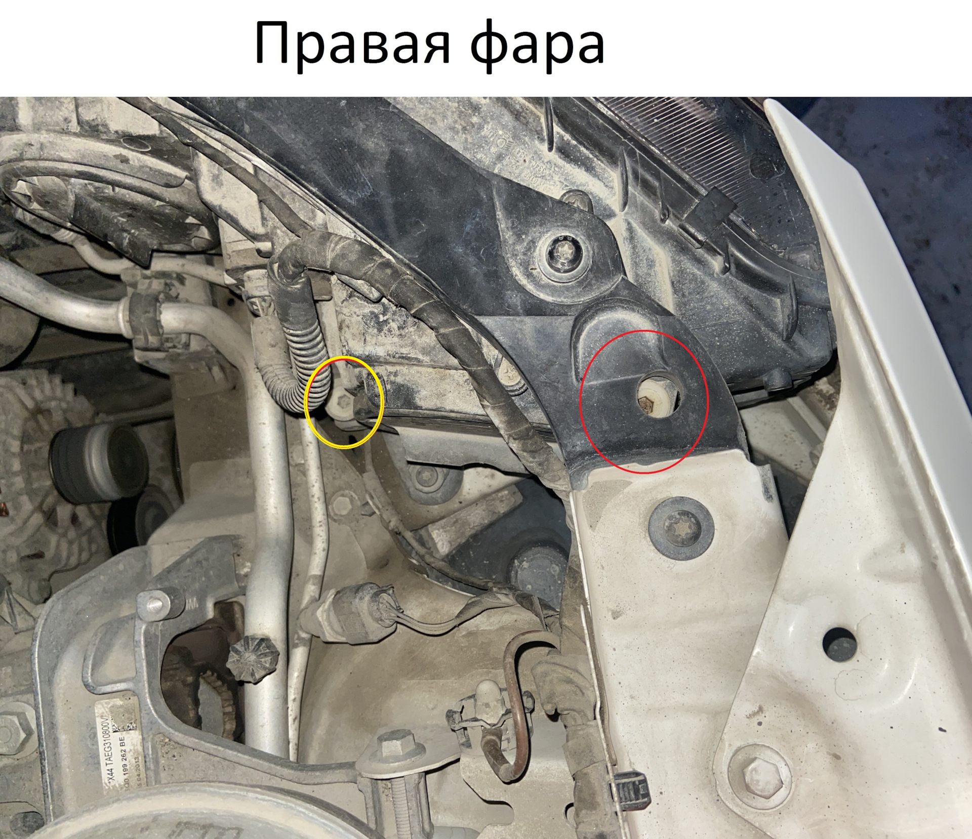 Как самому отрегулировать фары на шкоде октавии а5