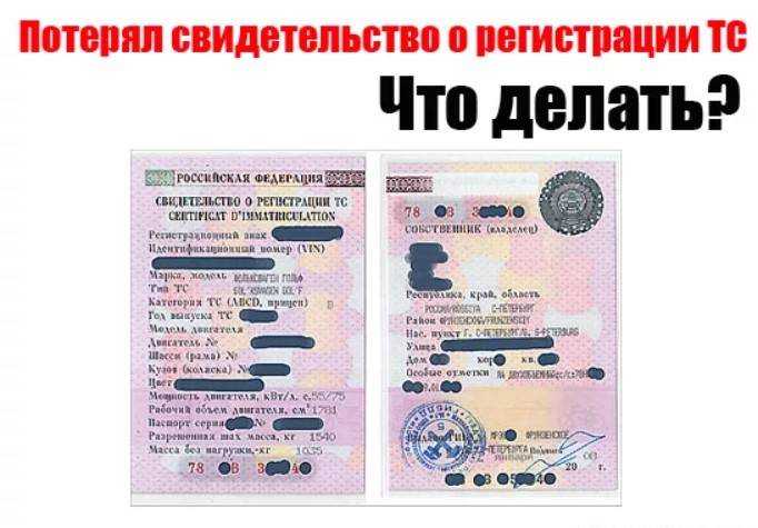 Как восстановить стс на машину при утере в 2024 году
