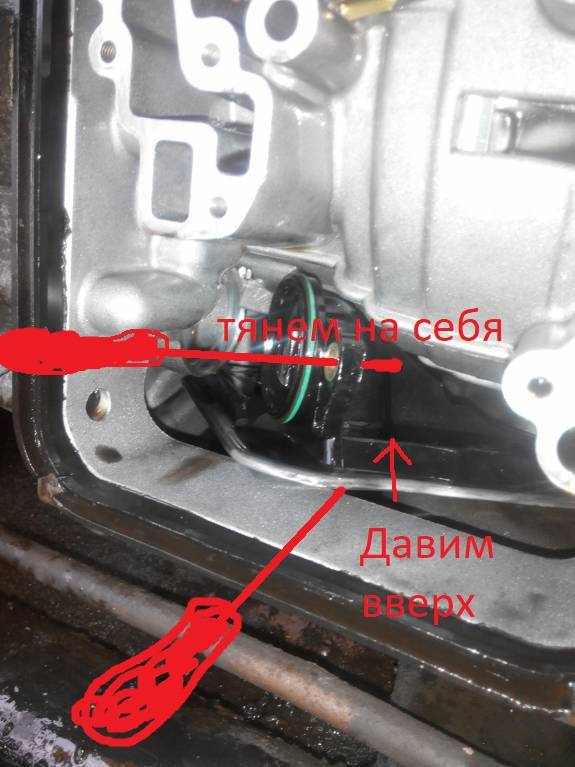 Какое масло лить в коробку peugeot 206 (1998 - 2009)